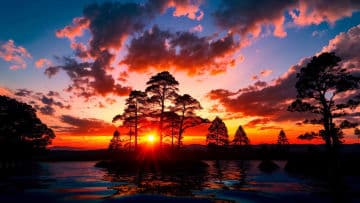 The sun is setting over a lake with trees in the foreground The sun is setting over a lake with trees in the foreground